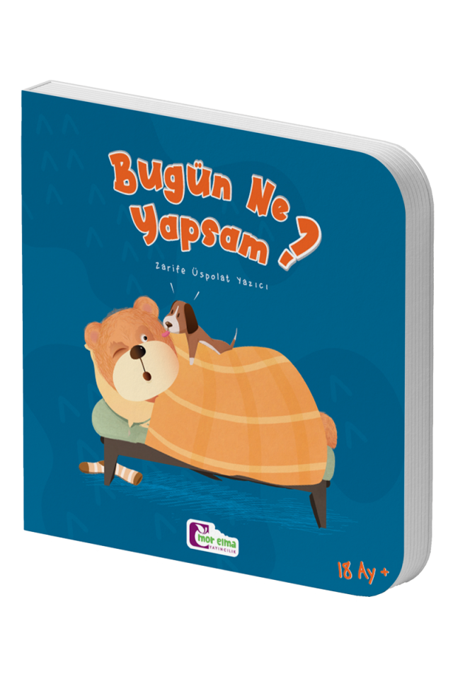 Bugün Ne Yapsam