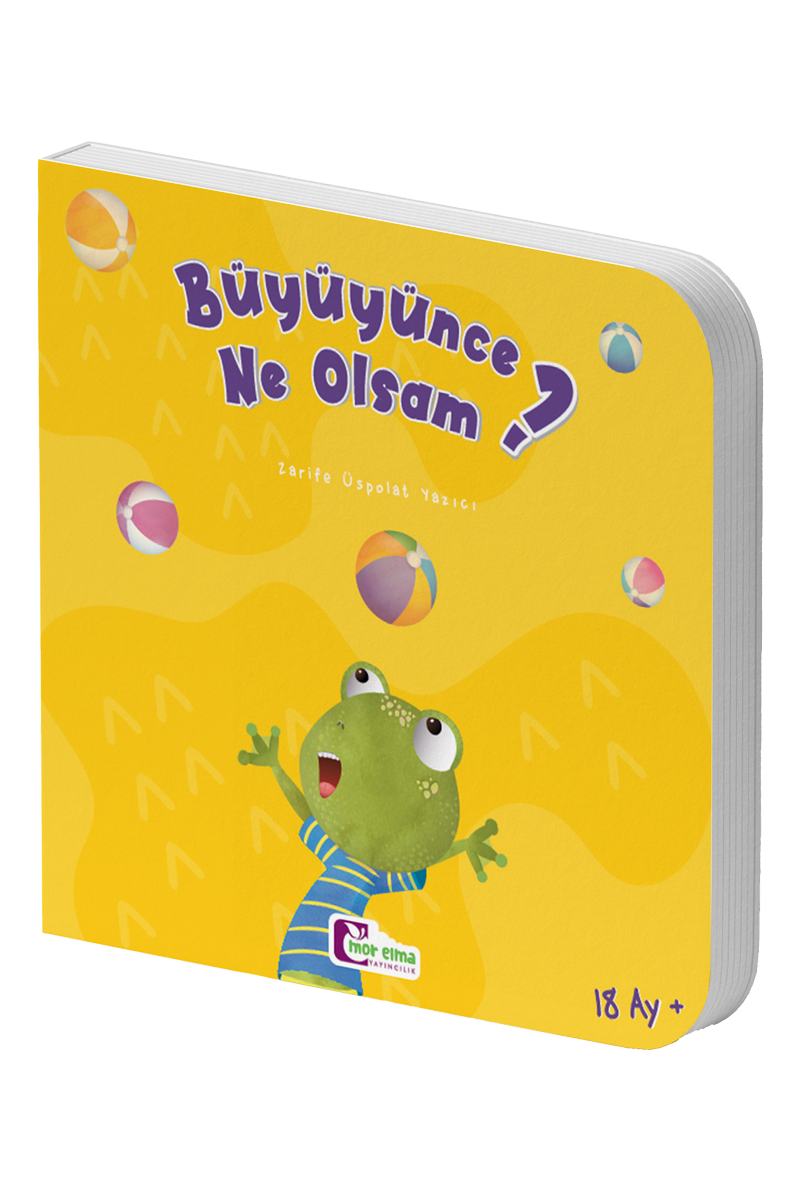 Büyüyünce Ne Olsam