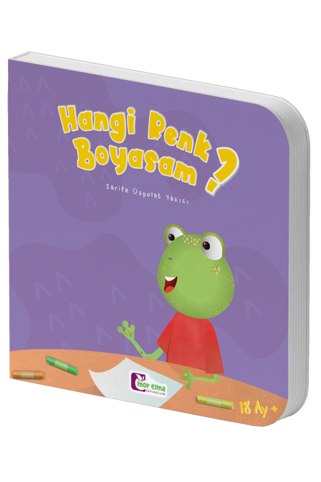 Hangi Renk Boyasam
