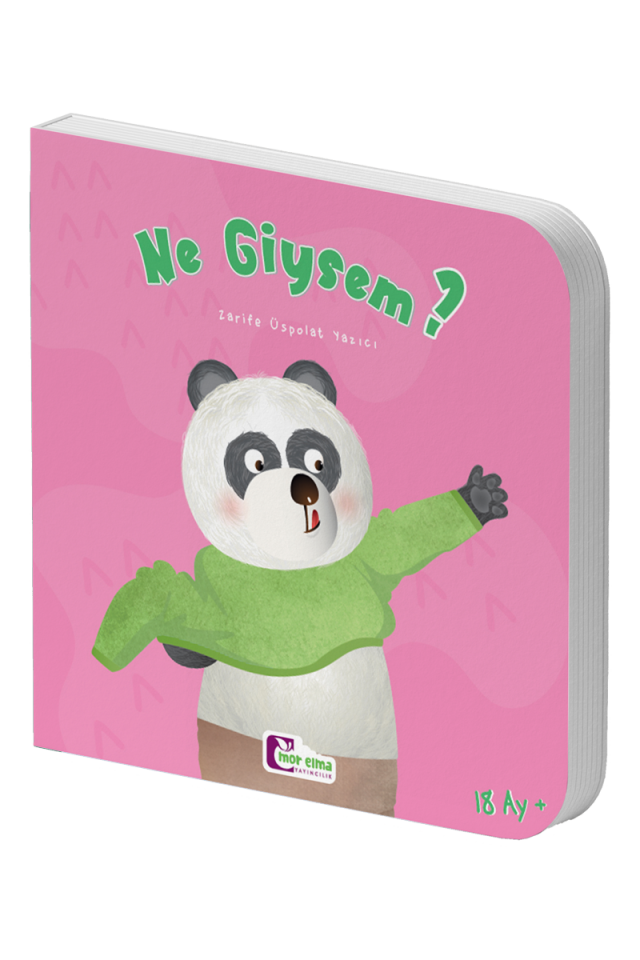 Ne Giysem