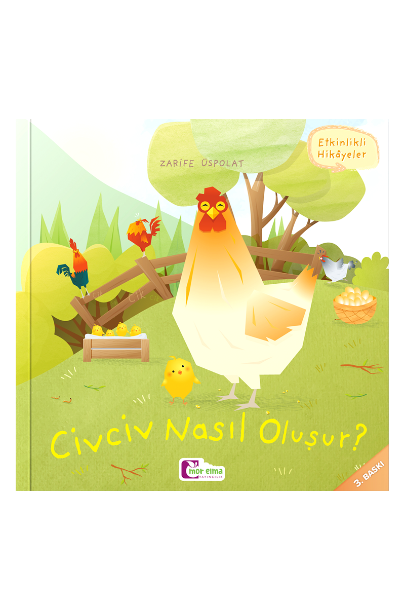 Civciv Nasıl Oluşur