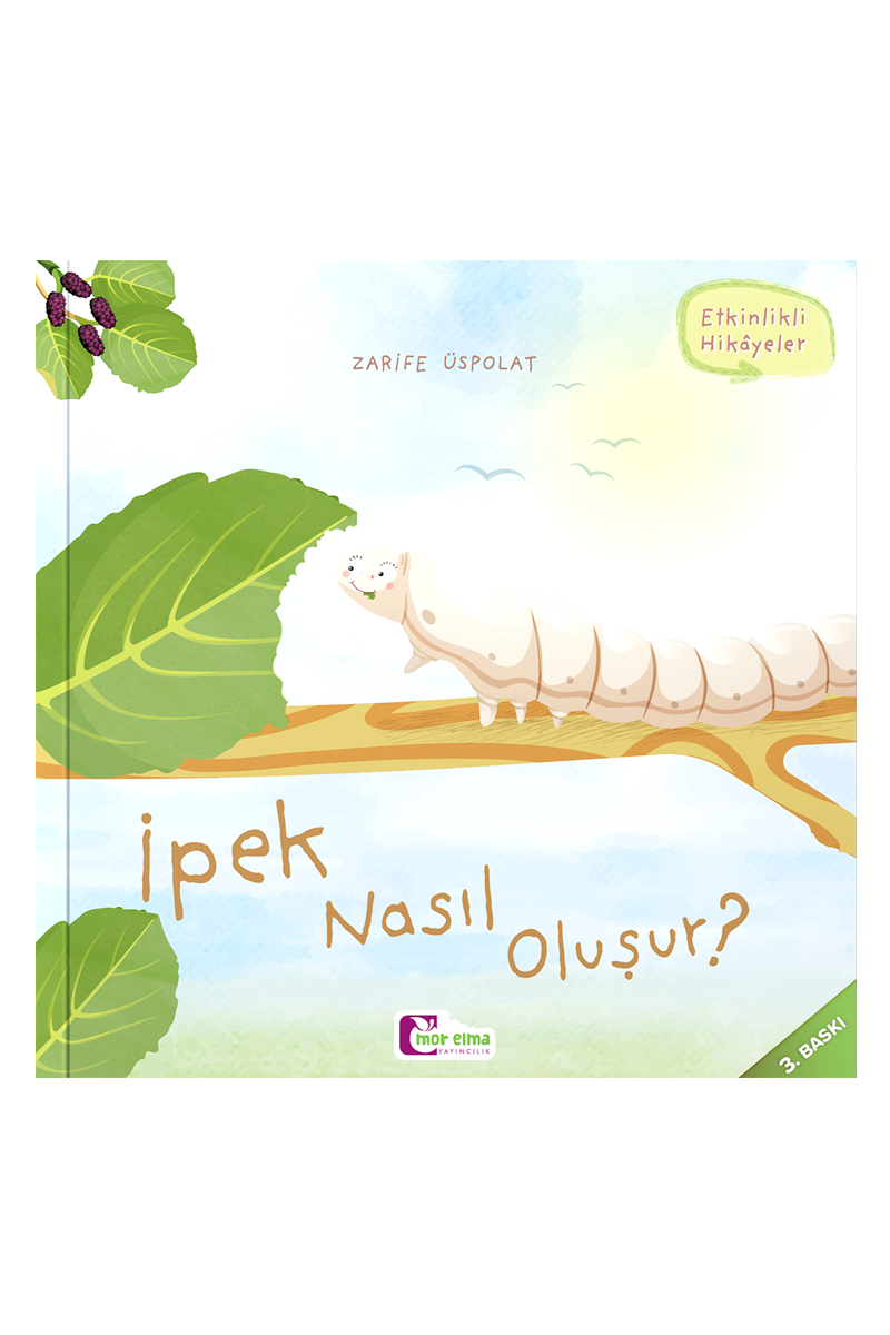 İpek Nasıl Oluşur?