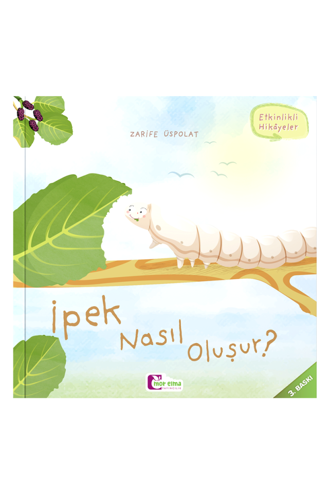 İpek Nasıl Oluşur