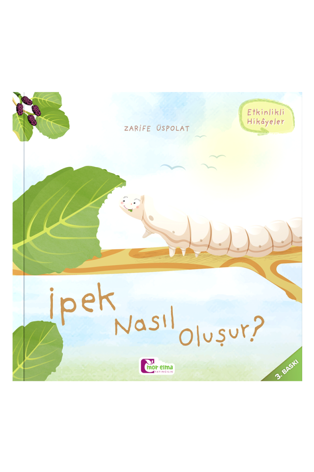 İpek Nasıl Oluşur?