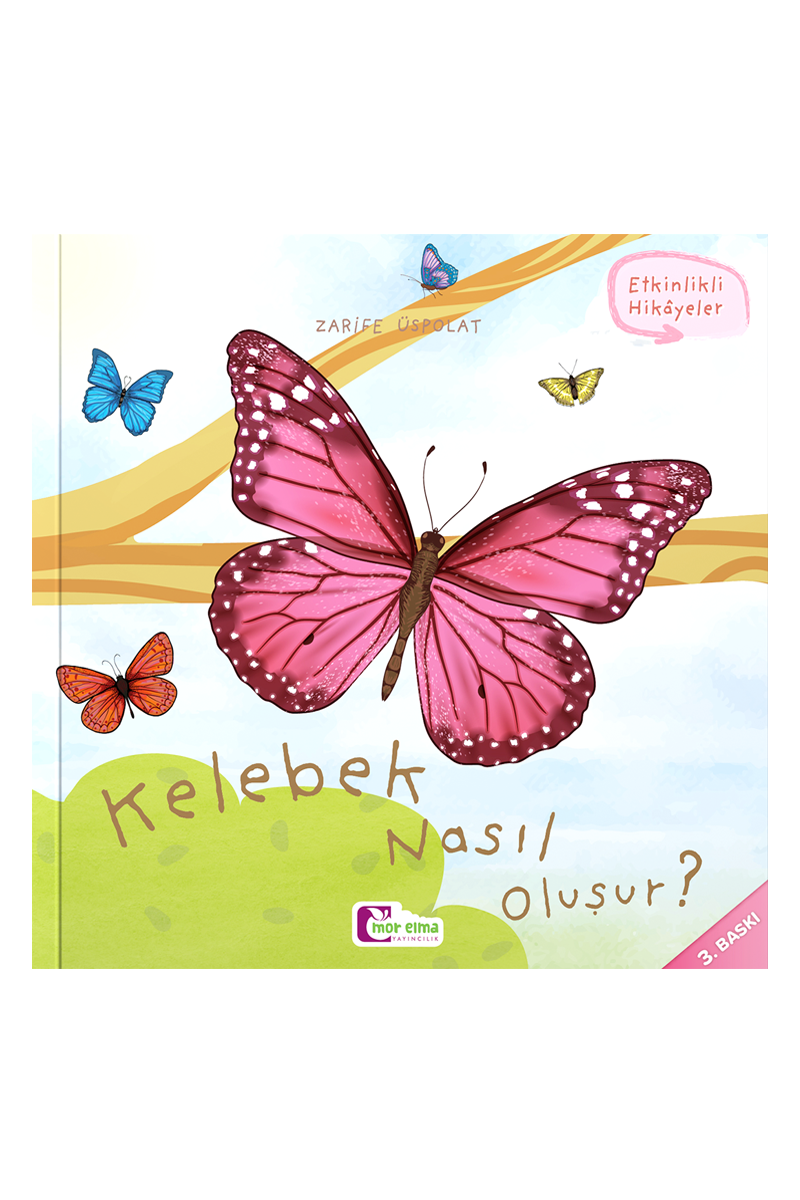 Kelebek Nasıl Oluşur