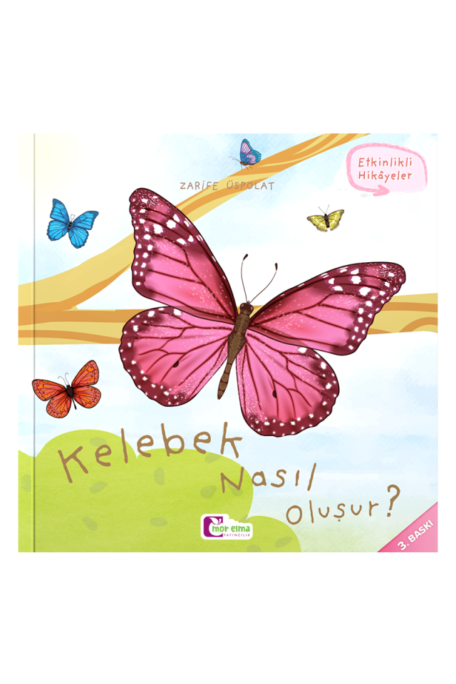 Kelebek Nasıl Oluşur?