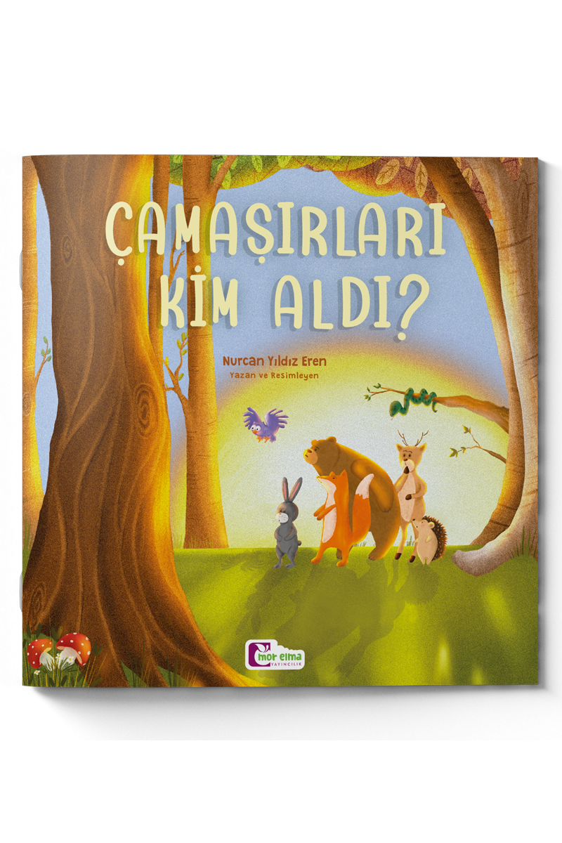 Çamaşırları Kim Aldı? - Şiirimsi Masallar